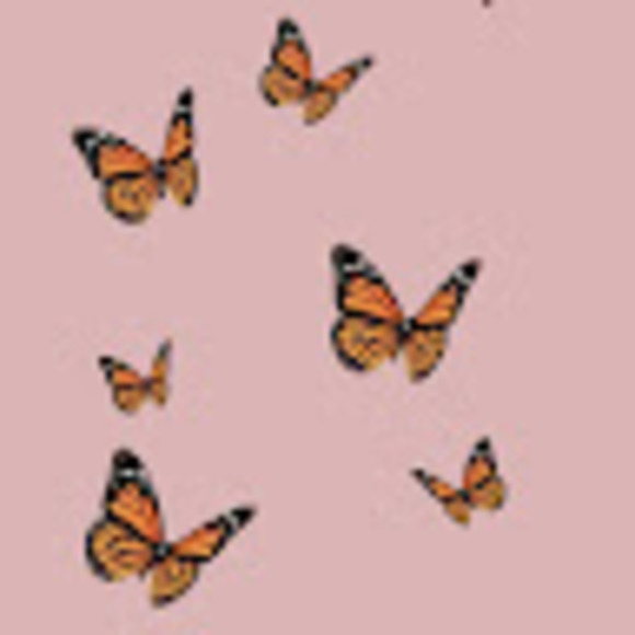 Meet your Posher, Jessica - Picture 1 of 1